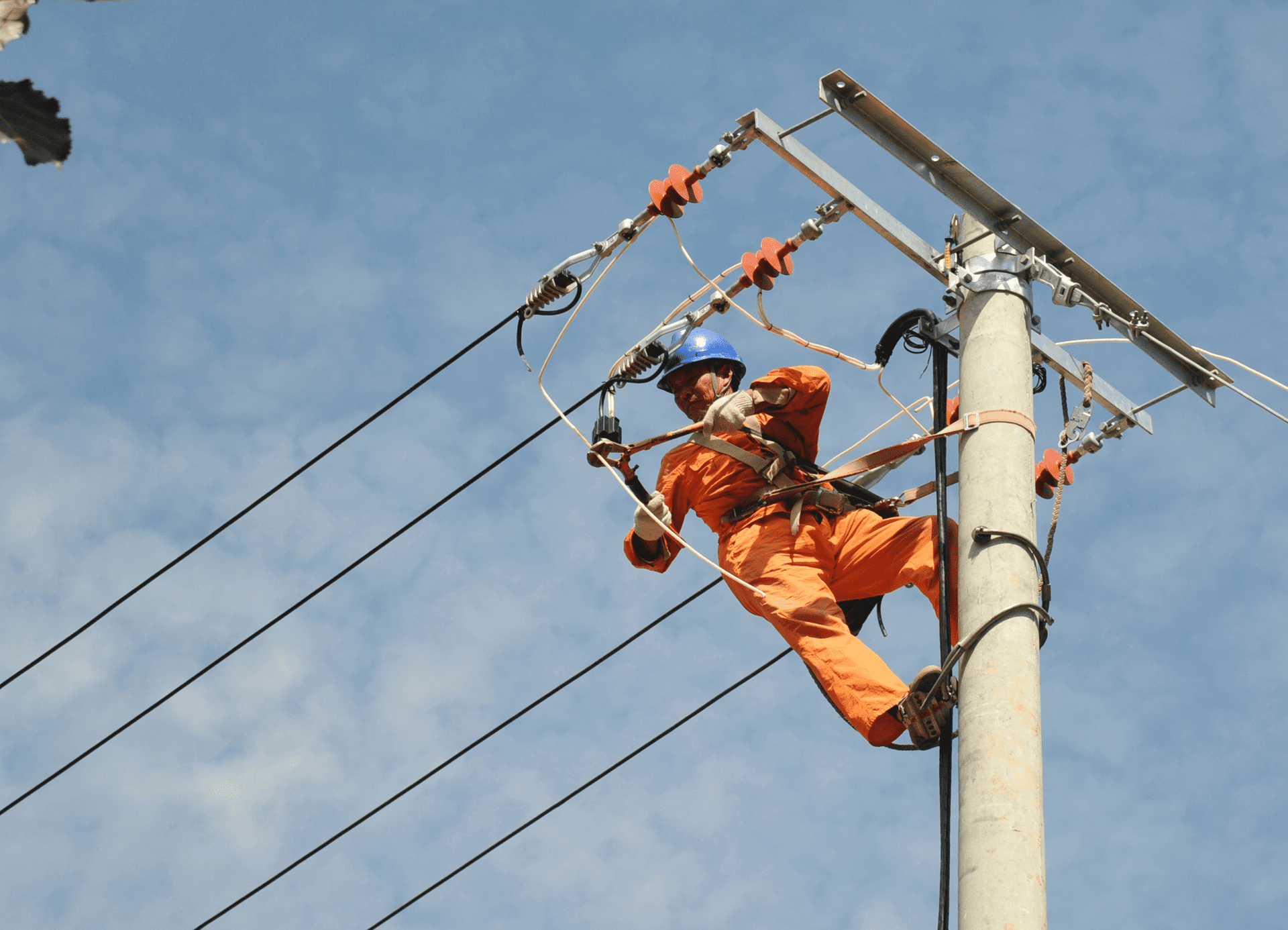 obra electrica